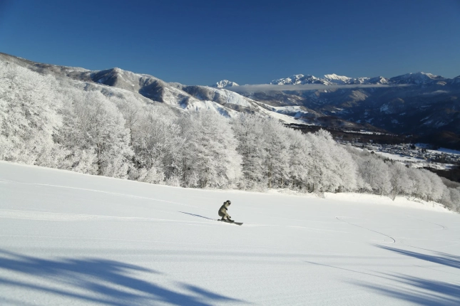 【ホテル ラ ヴィーニュ 白馬】冬の白馬を満喫するならココ！スキー・食事・移動が超快適になる3つの秘策を大公開！
