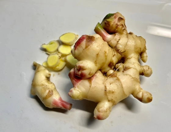 白い背景に、数個の新鮮な生姜が置かれています。一部の生姜は薄くスライスされており、その淡い黄色の断面が見えています。料理の下準備をしている様子を捉えた画像です。