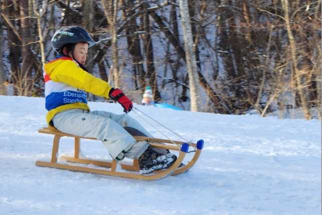 子供がソリで滑る様子