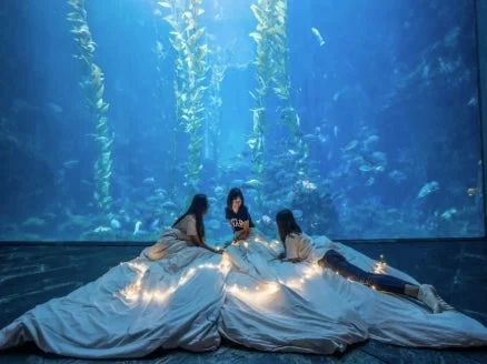 水族館の巨大水槽と女性たち