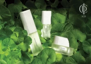 K-ビューティに新しい風！韓国RIMANが「巨大ツボクサ」で日本上陸へ！