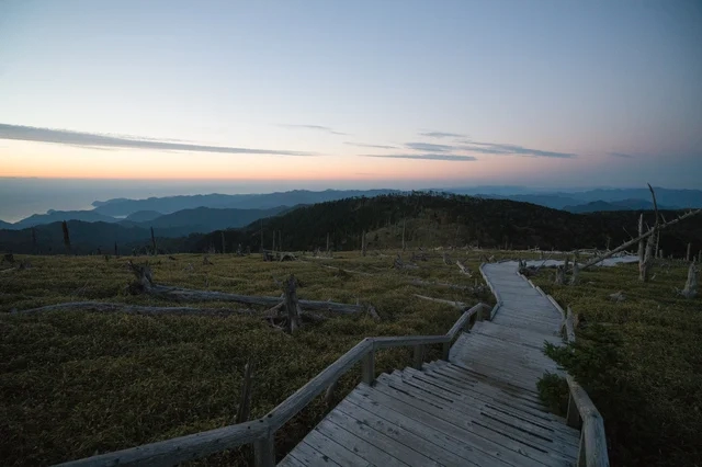 ねぇ、知ってるかい？冬の特別除雪された大台ヶ原を巡るバスツアーが開催されるんだって！普段は絶対行けない絶景を見に行こう！