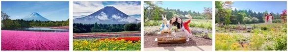 ピンクの芝桜と富士山、カラフルな花畑と富士山、ピーターラビットの像と女性2人、緑豊かな庭園の美しい風景